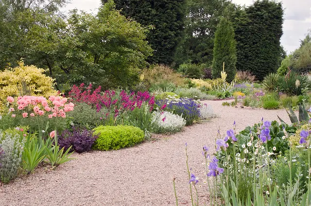 Сухие сады в Англии (3 из 21) - Beth Chatto Gardens, Эссекс, Великобритания