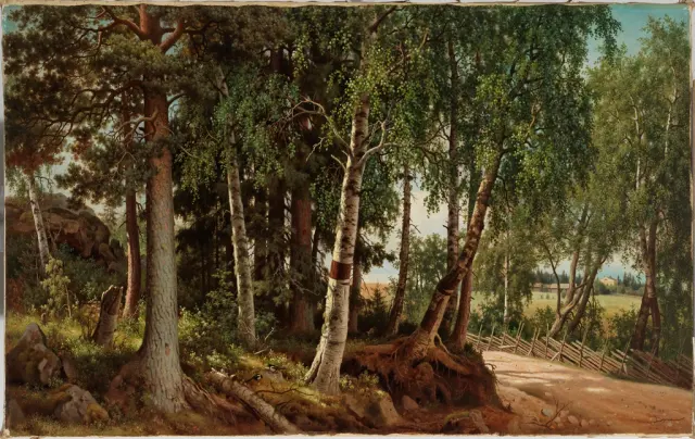 Лесной пейзаж Хаминалахти, 1880, Фердинанд