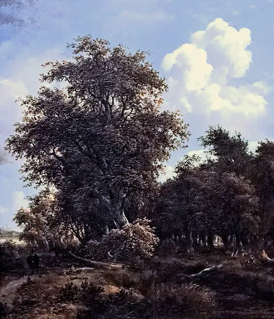 IMG_0791 Meindert Hobbema. 1638-1709 Amsterdam Forest landscape. Paysage de forêt. 1650s Schwerin.Staatliches Museum