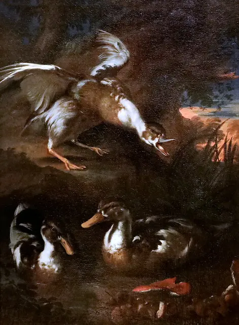 IMG_0376 Angelo Maria Rossi 1670-1752 Lombardie Canards dans un paysage forestier aux champignons. Утки в лесном ландшафте с грибами