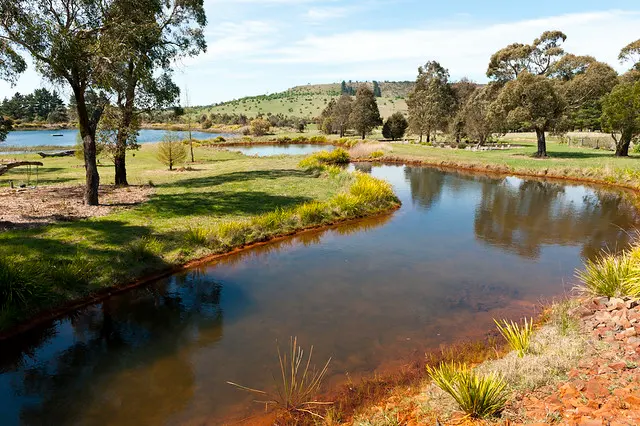 Лесной пейзаж Саттонс, NSW