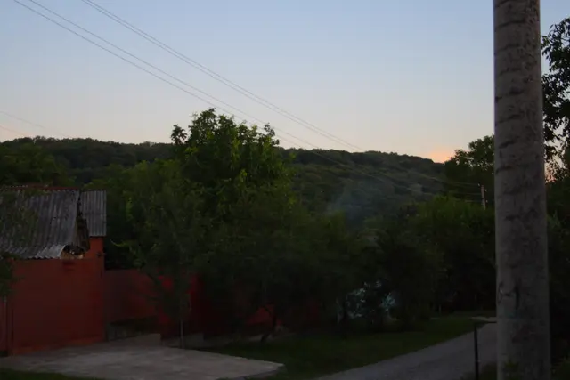 Св. SUVOROVA, FOREST LANDSCAPE (2012-06-24 21-05-12) - панорама