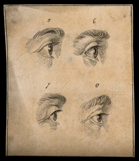 Четверо глаз. Рисунок, 1794