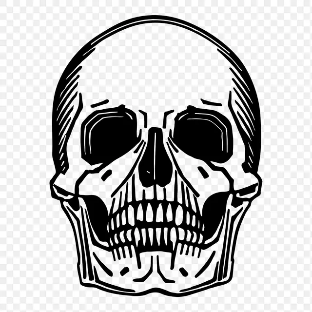 Наклейка Skull Png, иллюстрация скелета