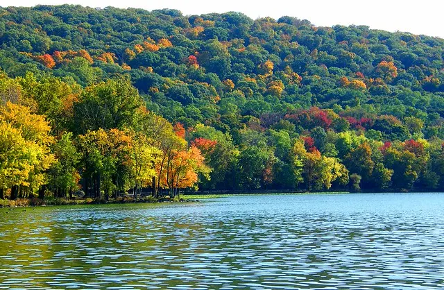 Пейзаж Rockland Lake Landscape
