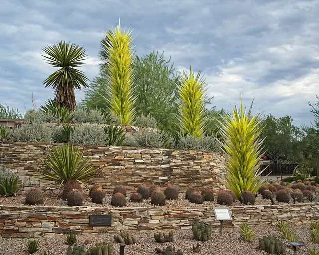 Выставка Chihuly Entry - Ботанический сад пустыни