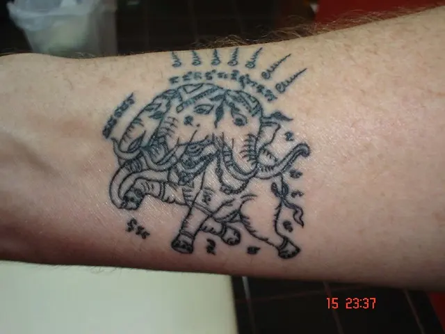 Тайская традиция татуировки слона с 3 головами (Dejavu Tattoo Studio Chiangmai Thailand)