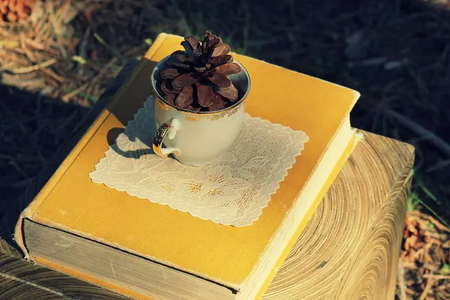 Lace Coasters, Ivory Vintage flower design - Shabby Chic Wedding decoration - Набор из 6 пластиковых кружев Свадебные подставки