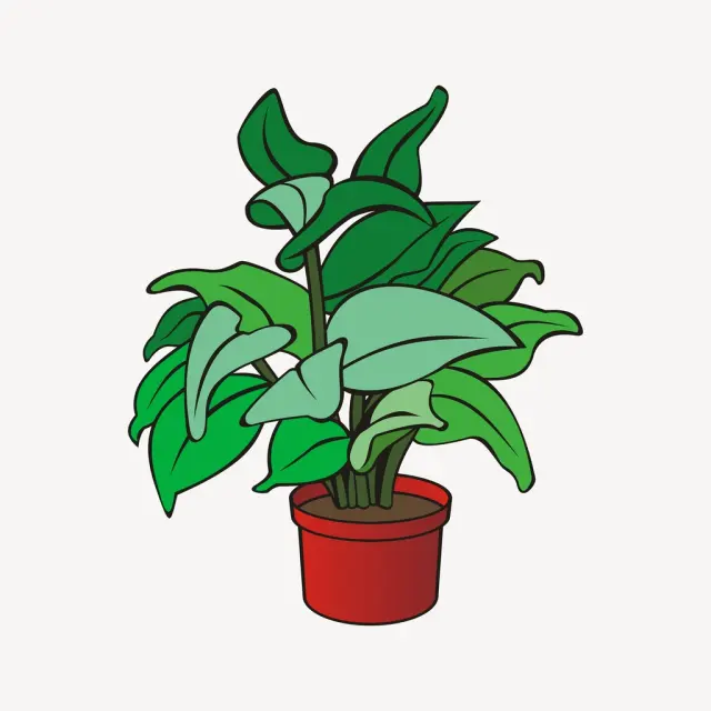 Иллюстрация Houseplant