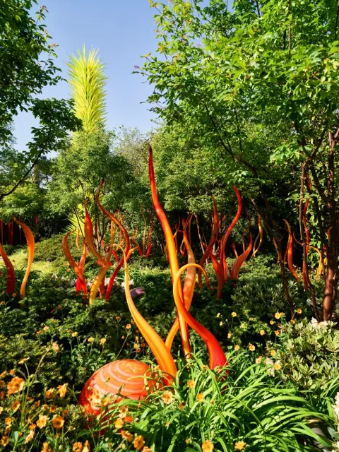 Blown — стеклянные скульптуры Chihuly Garden Glass