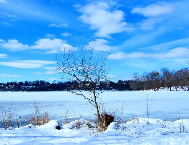 Пейзаж Rockland Lake Landscape