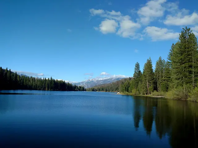 Озёрный пейзаж: лес, озеро